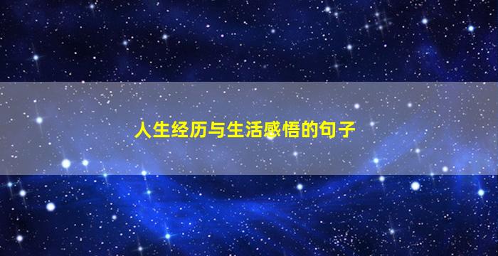 人生经历与生活感悟的句子