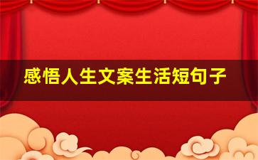 感悟人生文案生活短句子