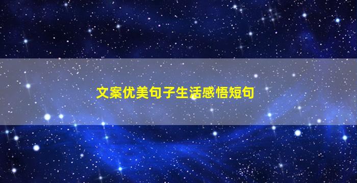 文案优美句子生活感悟短句